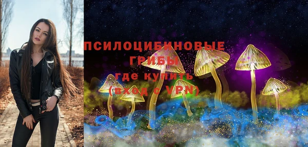 метамфетамин Алексеевка