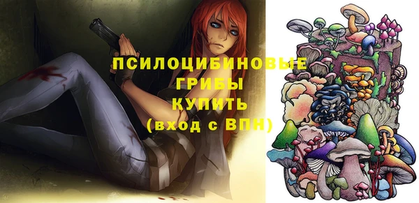 спиды Алзамай