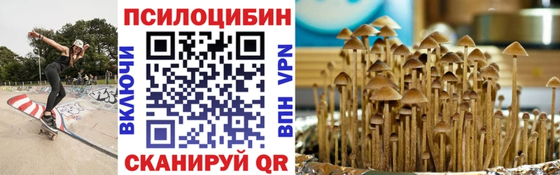 Псилоцибиновые грибы прущие грибы  Осташков 
