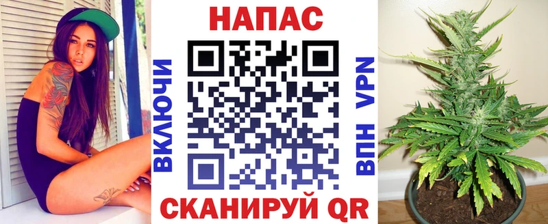 цены наркотик  Осташков  Конопля гибрид 